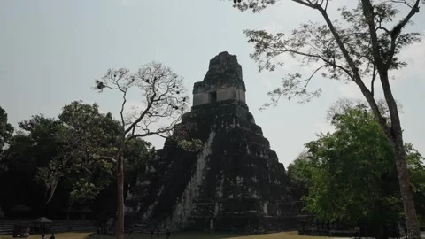 Temple II, also called the Temple of the Masks, rises through the forest canopy Vidéo 309618020