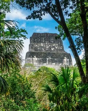 Temple IV also known as the two headed snake temple in Mayan city of Tikal Stock Photos