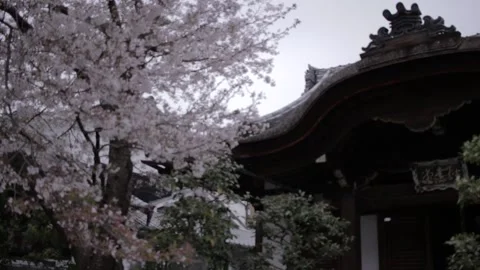 Temple - Japan Stock Footage 149705899