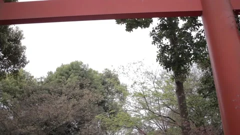 Temple - Japan Stock Footage 149705994