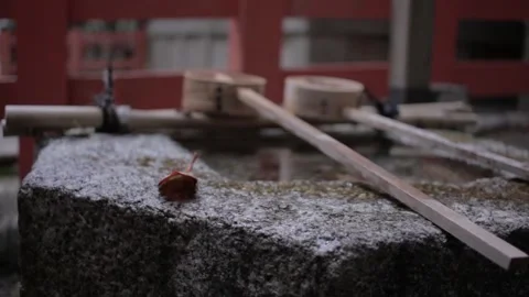 Temple - Japan Stock Footage 149706523