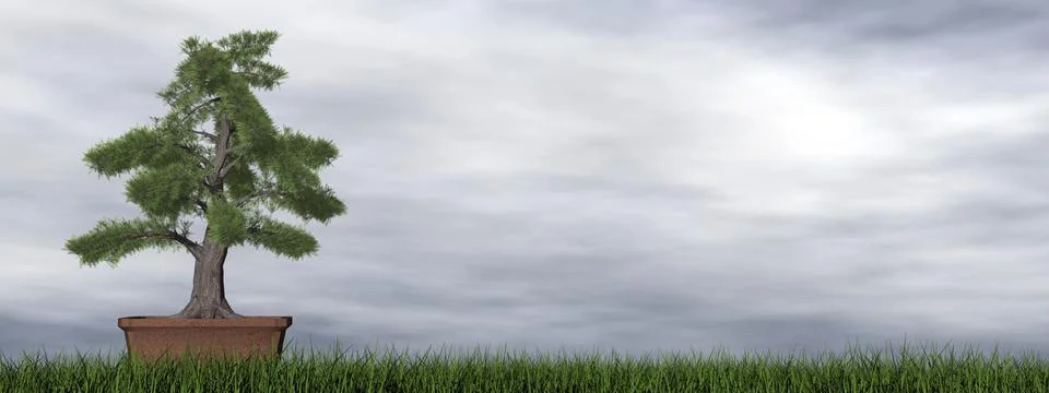 Temple juniper tree bonsai - 3D render Stock Illustration