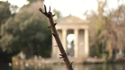 Temple on lake Vídeos de archivo 21961484