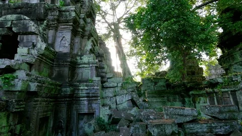 Temple made of rocks and trees Stock Footage 83145960