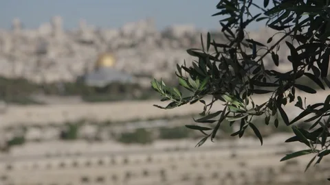 Temple Mount in and out of focus, Jerusalem, Israel Vídeos de archivo 86222060