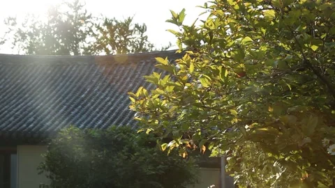 Temple in the mountain Видео 303884671