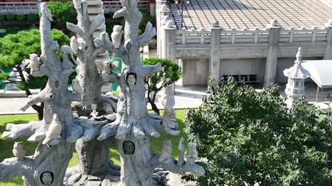 Temple in the mountain, temple in the forest Video stock 306033911