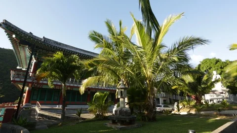 A Temple With Palm Trees Stock Footage 104795280