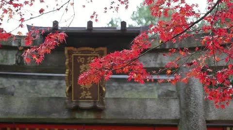 Temple Plate 스톡 동영상 10827581