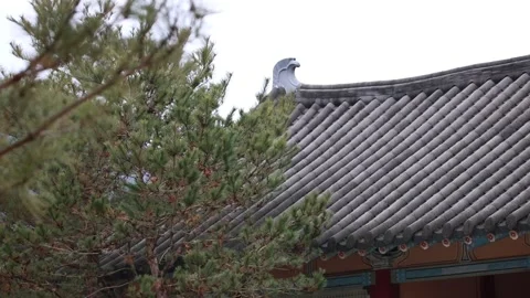 Temple roof with a tree Stock-Footage 305818097