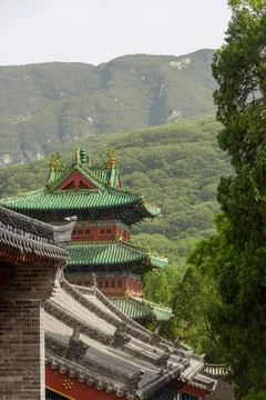 Temple Roofs on a Hillside Stock Photos