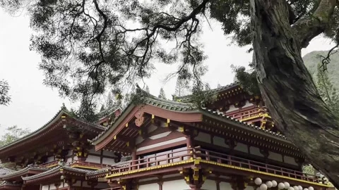Temple Rooftops Framed by Ancient Tree Canopy Vidéo 309289441