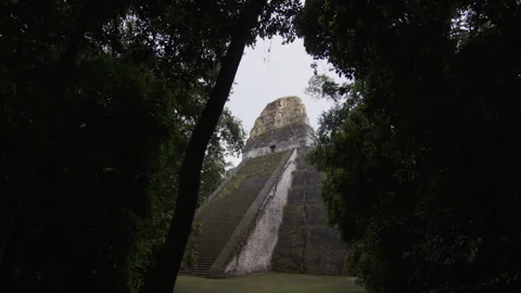 Temple Ruin Tikal between Trees Stock Footage 270204644