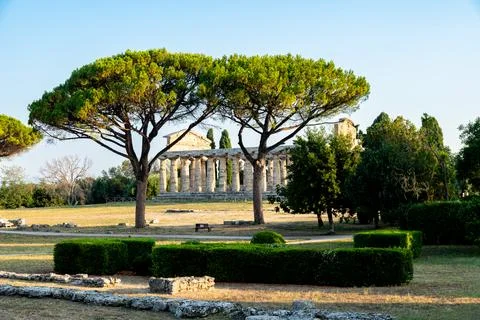 Temple ruins behind pine trees and hedges Stock Photos
