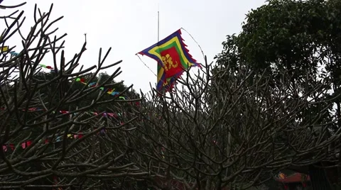 Temple scenery, nature scenes, flag (cảnh chùa Stock Footage 47456205