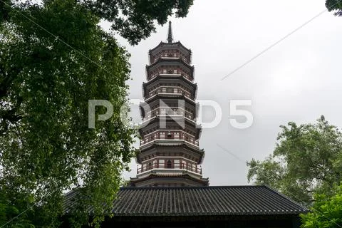 Temple of the six banyan trees Stock Photos
