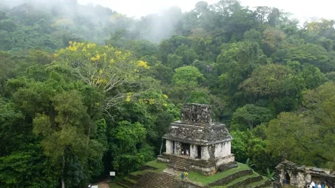 Temple of the Sun, Palenque, Mexico Stock Footage 241097622