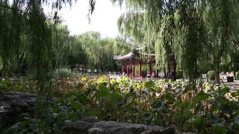 Temple of the Sun/Ritan Park Stock Footage 203081971