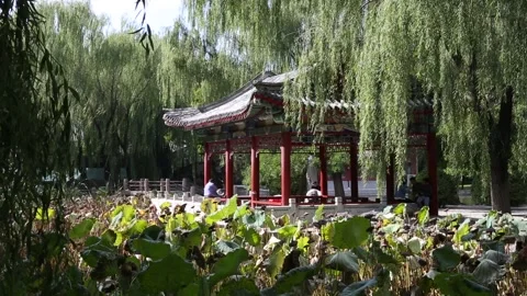 Temple of the Sun/Ritan Park Stock Footage 203082606