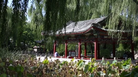 Temple of the Sun/Ritan Park Video stock 203083369