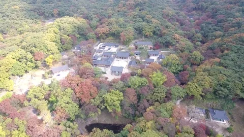 Temple surrounded by forests and mountains Video stock 303397660