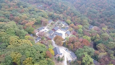 Temple surrounded by forests and mountains Stock-Footage 303398962