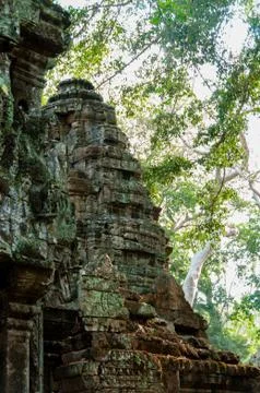 Temple Ta Prohm with branches in the back Stock Photos