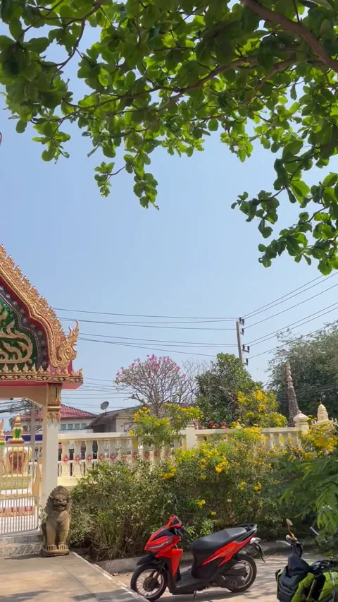 Temple in Thailand Stock Footage 237228155