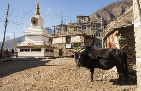 Temple on top of mountain Foto stock