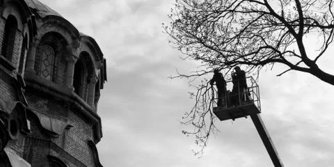 The temple, the tree and the man 写真素材