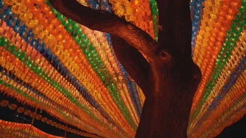 Temple tree covered in lanterns in Seoul, South Korea. Stock Footage 113395687