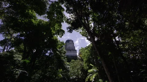 Temple of the Two-headed snake at Tikal National Park, Guatemala Stock Footage 63059933