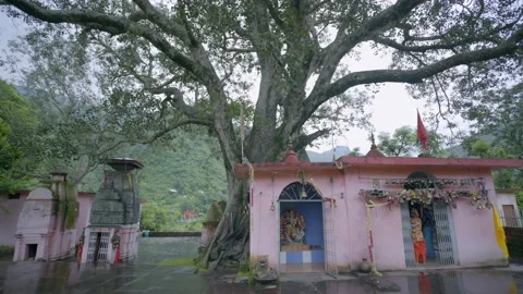 Temple under peepal tree Stock Footage 201840748