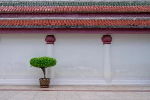 Temple wall Stock Photos