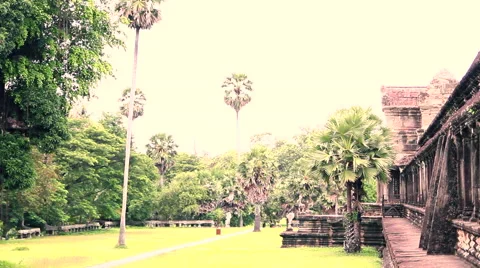 Temple in wild jungle Stock Footage 52755061
