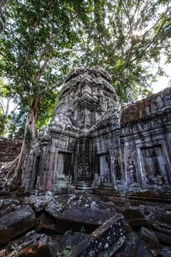 A temple wrapped in tree roots Stock Photos
