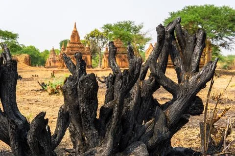 Temples of Bagan, Myanmar Stock Photos
