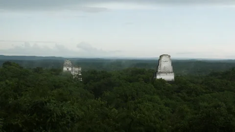 Temples coming out of the Rainforest Stock Footage 270203988