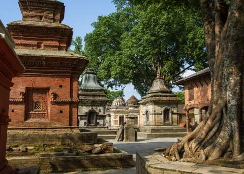 Temples in Pashupatinath Foto stock