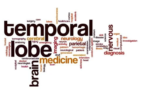 Temporal lobe word cloud Stock Illustration