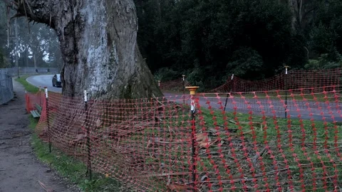 Temporary plastic safety net, fence in Golden Gate Park, San Francisco, CA Stock Footage 268657227