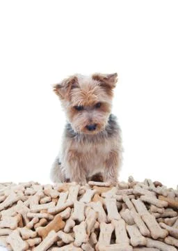 Temptation Stock Photos