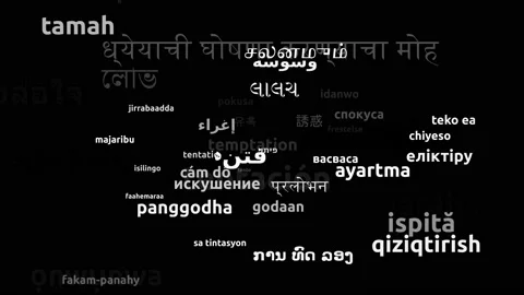 Temptation Translated in 49 Worldwide Languages Endless Looping 3d Zooming Wo Stock-Footage 145231280
