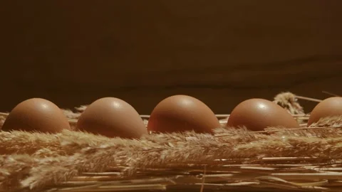Ten brown eggs of chicken eggs lies in chicken nest Stock Footage 130884236