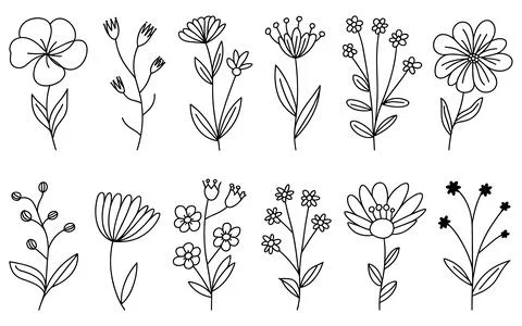 Ten Different Black and White Line Flowers floral botanical Stock Illustration