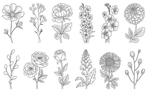 Ten Different Types of Flowers in Black and White Line Stock-Illustration