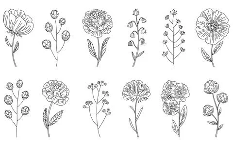 Ten Different Types of Flowers in Line Style line botanical Stock Illustration