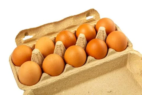 Ten eggs in packaging paper mould box Фото