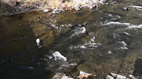 Ten mile river overhead Stock Footage 259422161