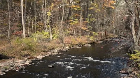 Ten mile river pan Stock Footage 259421922